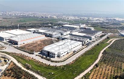 KİRALIK Fabrika İzmir Torbalı Pancar Karma OSB de