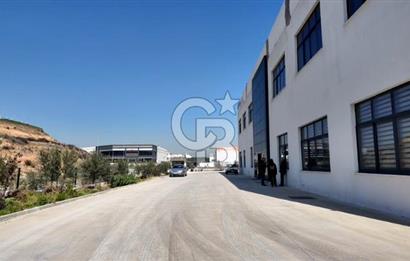 KİRALIK Fabrika İzmir Torbalı Pancar Karma OSB de