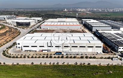 KİRALIK Fabrika İzmir Torbalı Pancar Karma OSB de