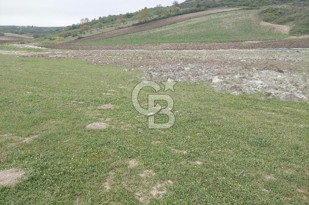 Arnavutköy Dursunköy konut imarlı ifrazlı 409 m2 satılık arsa