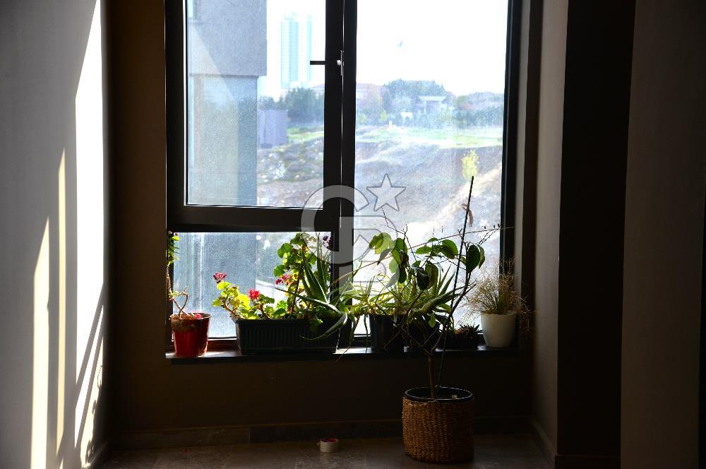 Gölbaşı İncek Mah İncek Loft Sitesi Kiralık 1+1 Daire