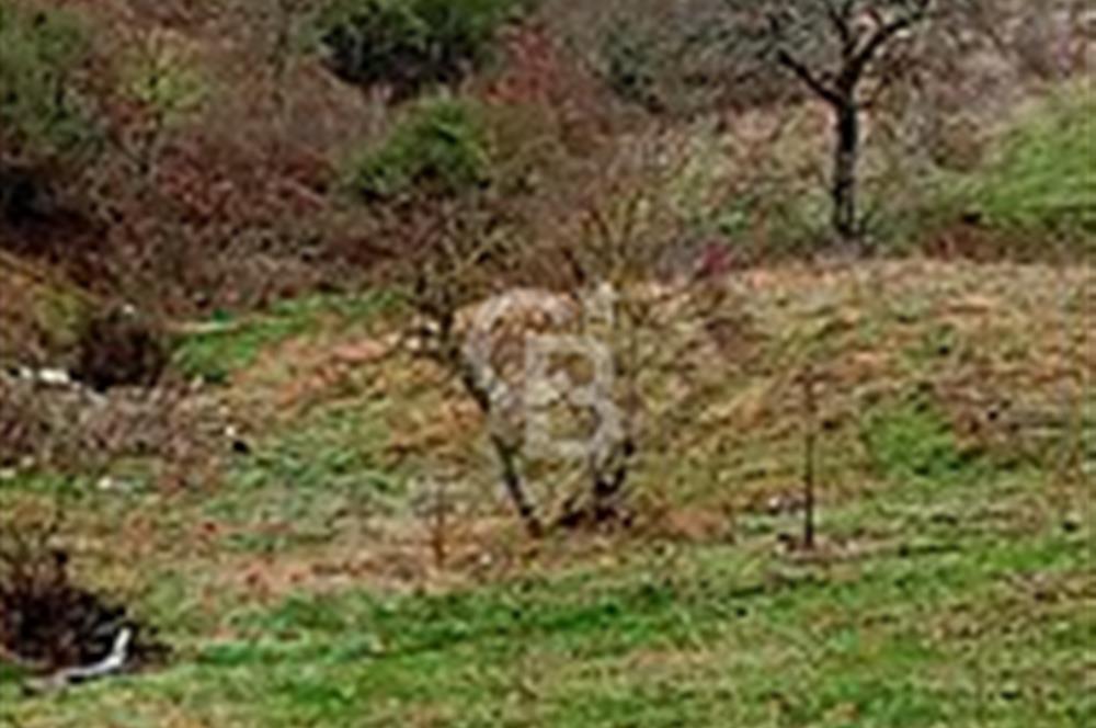 Çanakkale Çanda Köye 100m İmar Planında Fırsat Arazi
