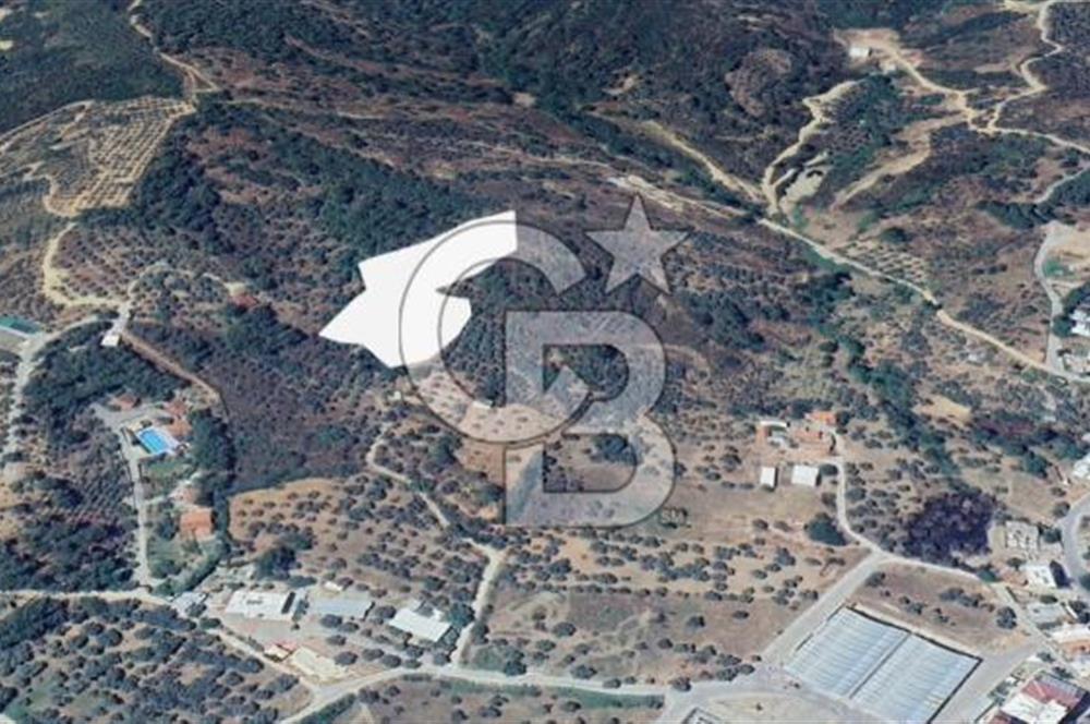 İZMİR KEMALPAŞA ARMUTLU HÜRRİYET'TE SATILIK ARSA 