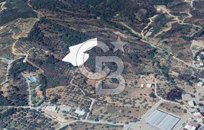 İZMİR KEMALPAŞA ARMUTLU HÜRRİYET'TE SATILIK ARSA 
