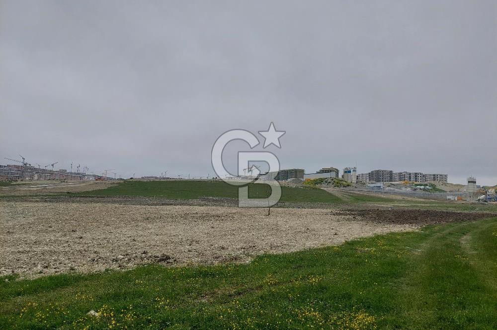 Arnavutköy Dursunköy konut imarlı ifrazlı 409 m2 satılık arsa
