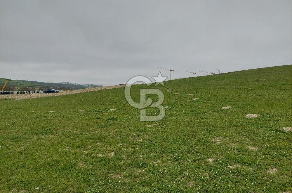 Arnavutköy Dursunköy konut imarlı ifrazlı 409 m2 satılık arsa