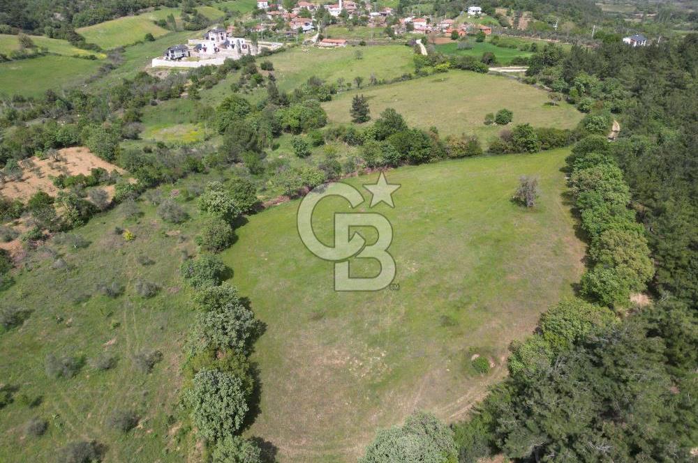 Çanakkale Bayramiç Güzeltepe'de 6.271 m2 Satılık Arazi