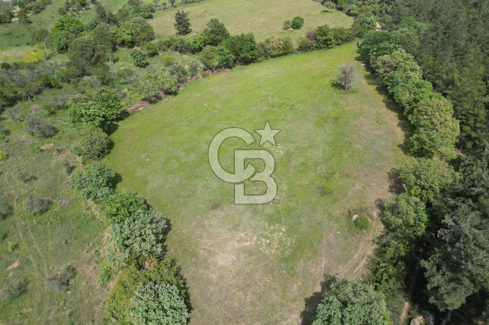 Çanakkale Bayramiç Güzeltepe'de 6.271 m2 Satılık Arazi
