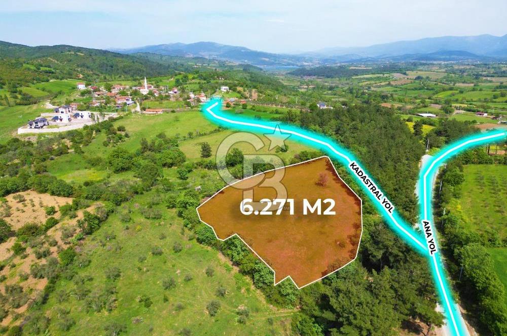 Çanakkale Bayramiç Güzeltepe'de 6.271 m2 Satılık Arazi