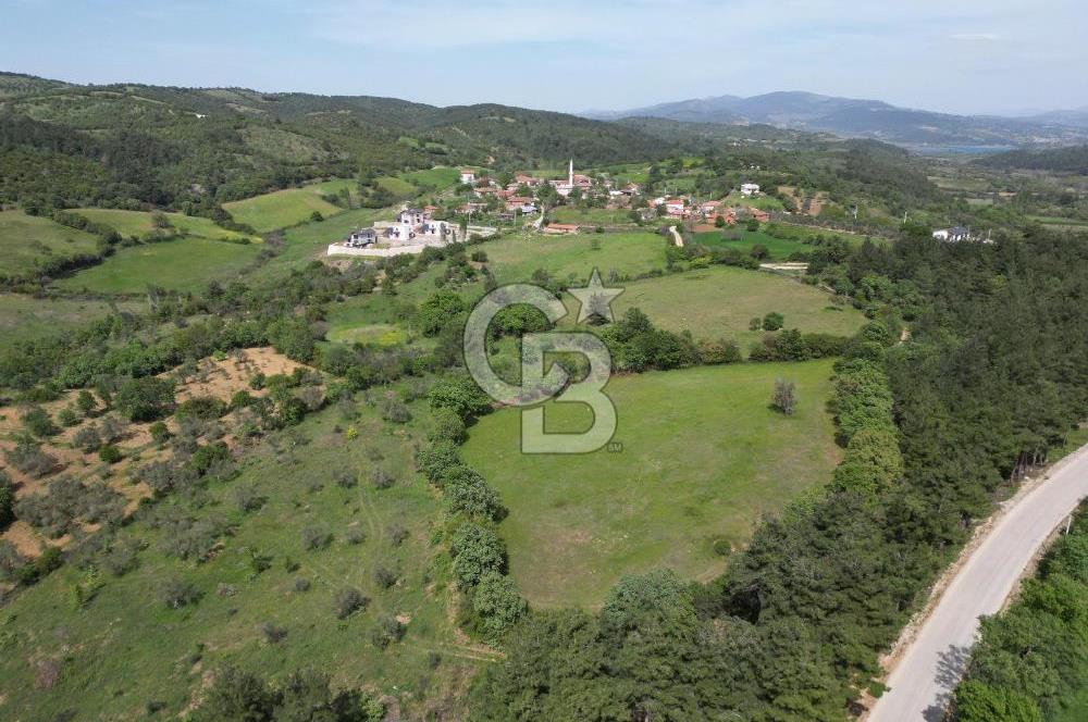 Çanakkale Bayramiç Güzeltepe'de 6.271 m2 Satılık Arazi