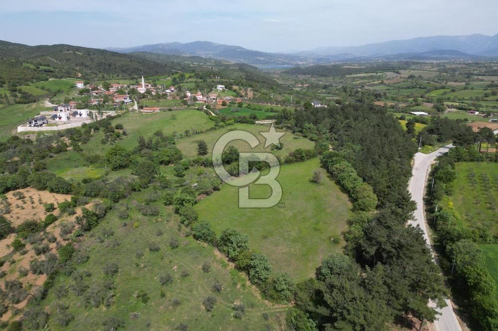 Çanakkale Bayramiç Güzeltepe'de 6.271 m2 Satılık Arazi