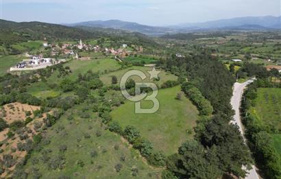 Çanakkale Bayramiç Güzeltepe'de 6.271 m2 Satılık Arazi