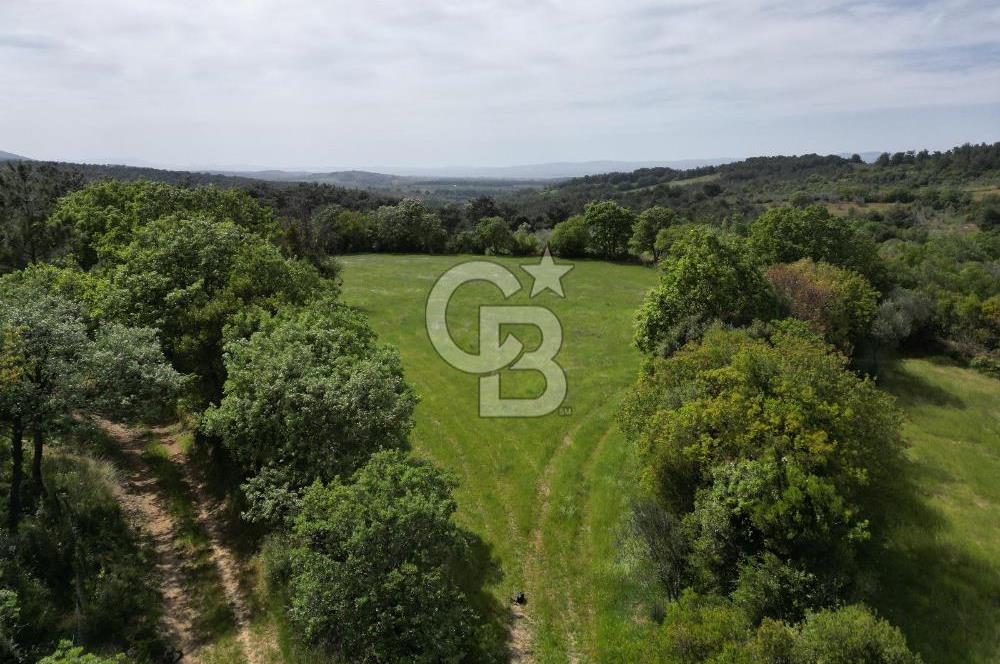 Çanakkale Bayramiç Güzeltepe'de 6.271 m2 Satılık Arazi