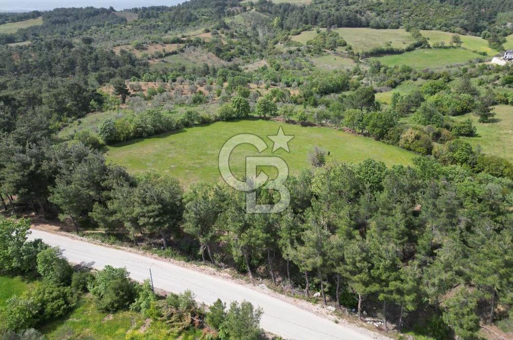 Çanakkale Bayramiç Güzeltepe'de 6.271 m2 Satılık Arazi