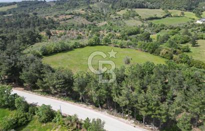 Çanakkale Bayramiç Güzeltepe'de 6.271 m2 Satılık Arazi