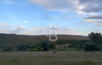 GERMİYAN'DA SATILIK YOL CEPHELİ 589 M2 TARLA 