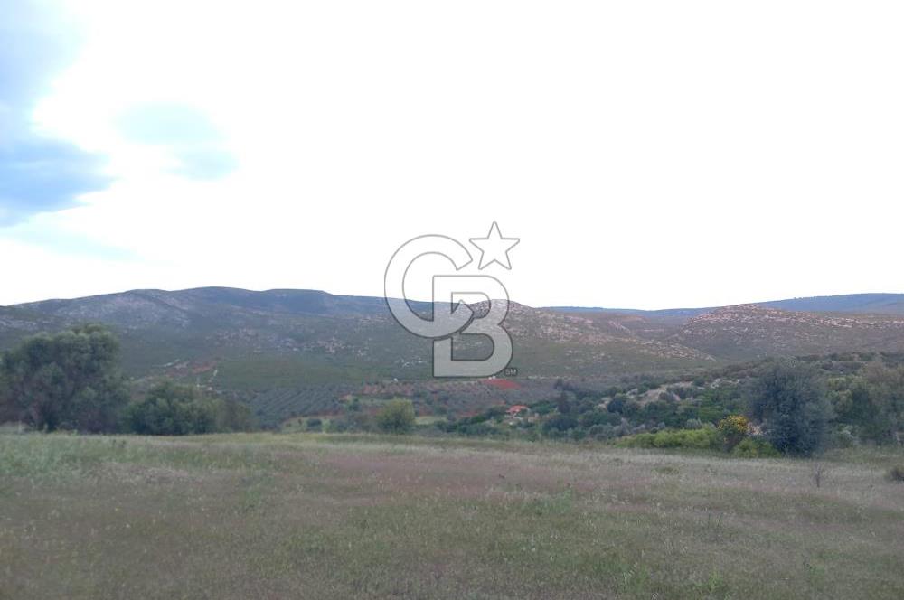 GERMİYAN'DA SATILIK YOL CEPHELİ 589 M2 TARLA 