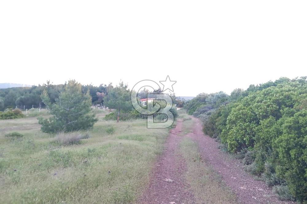 GERMİYAN'DA SATILIK YOL CEPHELİ 589 M2 TARLA 