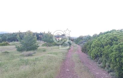 GERMİYAN'DA SATILIK YOL CEPHELİ 589 M2 TARLA 