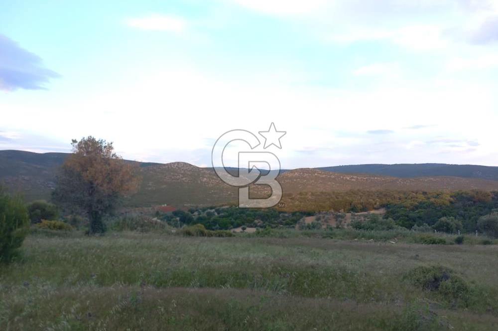 GERMİYAN'DA SATILIK YOL CEPHELİ 589 M2 TARLA 