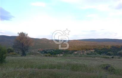 GERMİYAN'DA SATILIK YOL CEPHELİ 589 M2 TARLA 