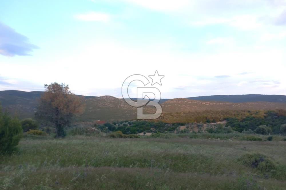GERMİYAN'DA SATILIK YOL CEPHELİ 589 M2 TARLA 