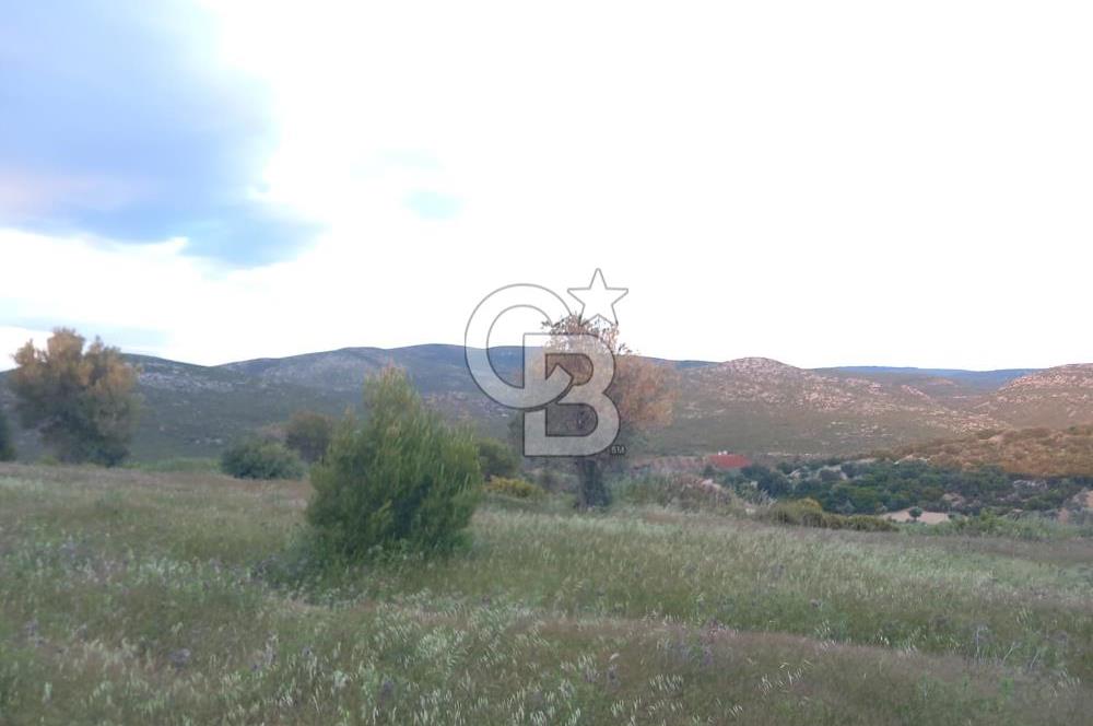 GERMİYAN'DA SATILIK YOL CEPHELİ 589 M2 TARLA 