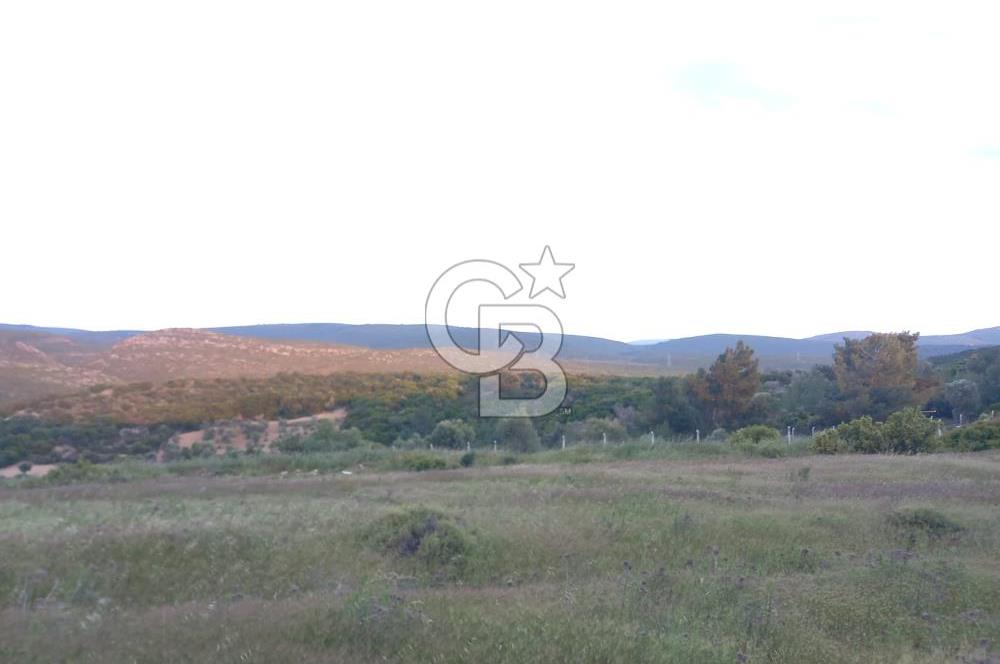GERMİYAN'DA SATILIK YOL CEPHELİ 589 M2 TARLA 