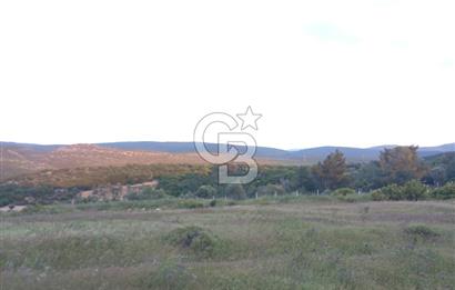 GERMİYAN'DA SATILIK YOL CEPHELİ 589 M2 TARLA 