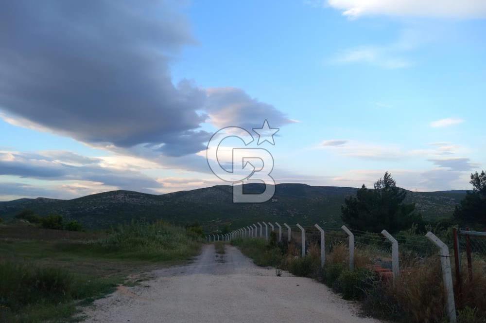GERMİYAN'DA SATILIK YOL CEPHELİ 589 M2 TARLA 