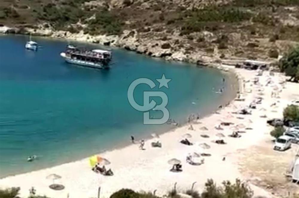 İzmir Foça'da Denize Sıfır (Plaj Binası, İkiEv, Zeytin Ağaçlı Tarla)Arazi