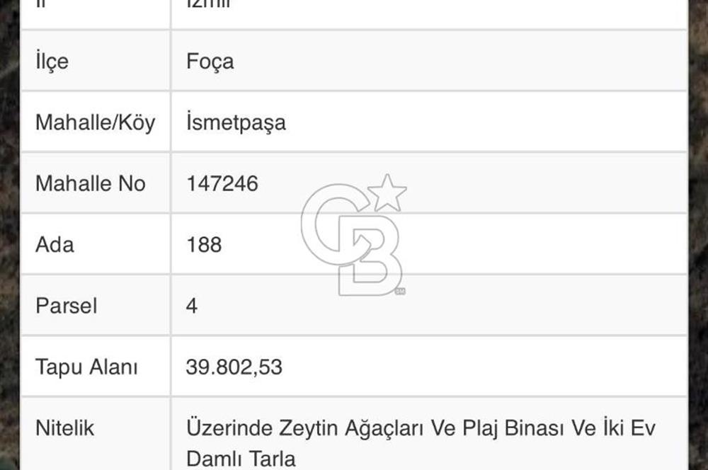 İzmir Foça'da Denize Sıfır (Plaj Binası, İkiEv, Zeytin Ağaçlı Tarla)Arazi
