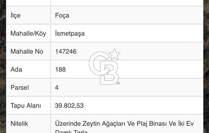 İzmir Foça'da Denize Sıfır (Plaj Binası, İkiEv, Zeytin Ağaçlı Tarla)Arazi