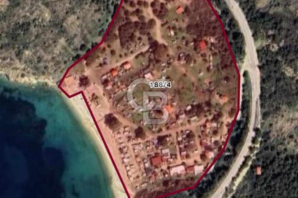 İzmir Foça'da Denize Sıfır (Plaj Binası, İkiEv, Zeytin Ağaçlı Tarla)Arazi