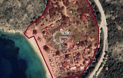 İzmir Foça'da Denize Sıfır (Plaj Binası, İkiEv, Zeytin Ağaçlı Tarla)Arazi