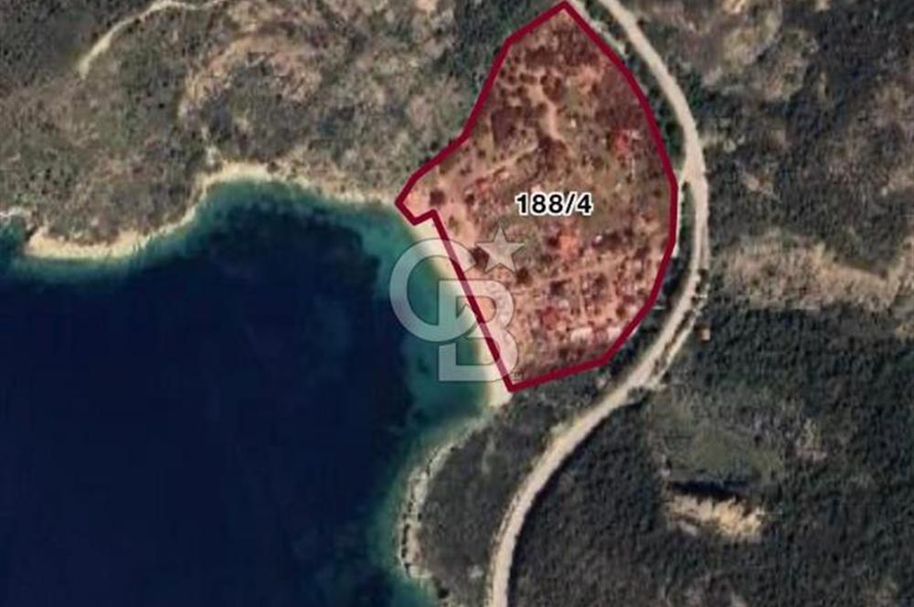 İzmir Foça'da Denize Sıfır (Plaj Binası, İkiEv, Zeytin Ağaçlı Tarla)Arazi