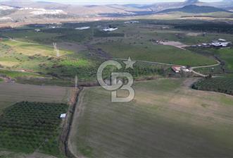 ALİAĞA GÜZELHİSAR'DA EN PRESTİJLİ KONUMDA 15.200M2 SATILIK TARLA
