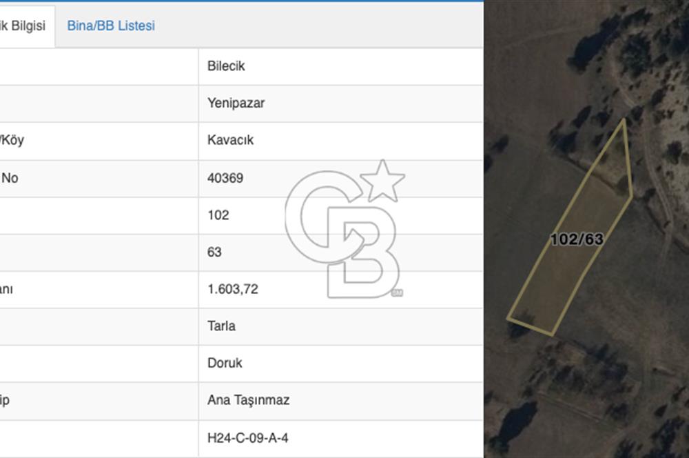 BİLECİK KAVACIK YENİPAZAR'DA FIRSAT TARLA