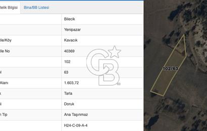 BİLECİK KAVACIK YENİPAZAR'DA FIRSAT TARLA
