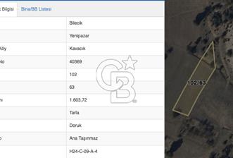 BİLECİK KAVACIK YENİPAZAR'DA FIRSAT TARLA