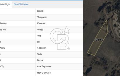 BİLECİK KAVACIK YENİPAZAR'DA FIRSAT TARLA