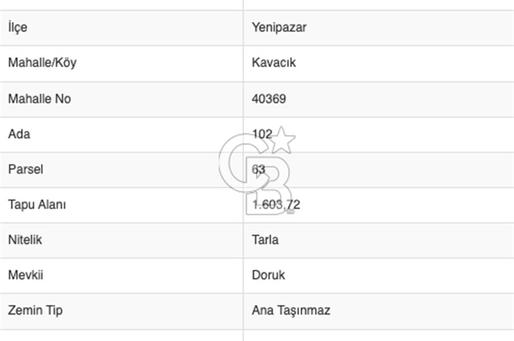 BİLECİK KAVACIK YENİPAZAR'DA FIRSAT TARLA