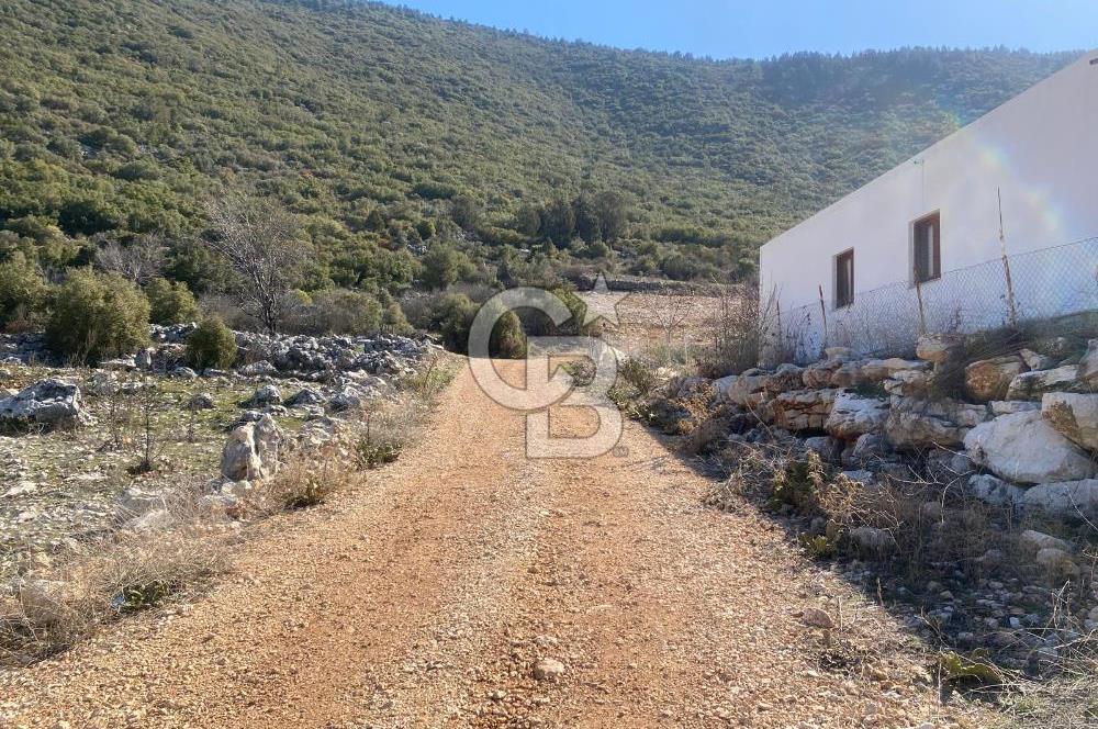 CB GİZ'DEN KAŞ İKİZCE'DE SATILIK MÜSTAKİL TAPULU PARSELLER