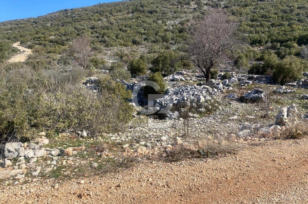 CB GİZ'DEN KAŞ İKİZCE'DE SATILIK MÜSTAKİL TAPULU PARSELLER