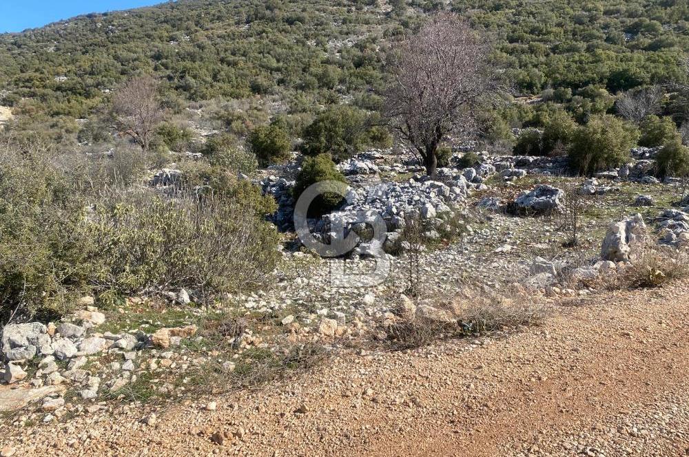 CB GİZ'DEN KAŞ İKİZCE'DE SATILIK MÜSTAKİL TAPULU PARSELLER