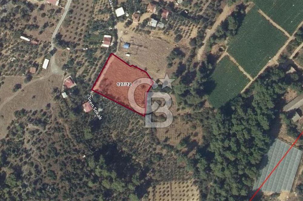 Menderes Değirmendere'de 1718 M² Satılık Tarla