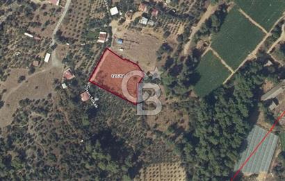 Menderes Değirmendere'de 1718 M² Satılık Tarla