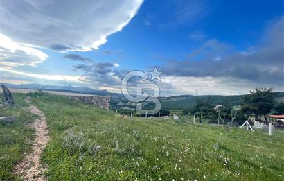 KEMALPAŞA DAMLACIKTA SATILIK YATIRIMLIK 800 M² TARLA