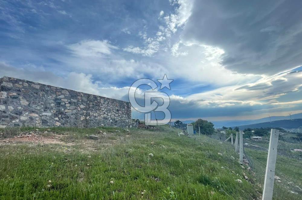 KEMALPAŞA DAMLACIKTA SATILIK YATIRIMLIK 800 M² TARLA