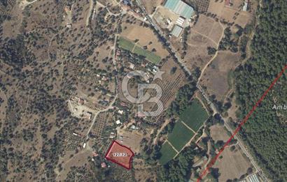 Menderes Değirmendere'de 1718 M² Satılık Tarla